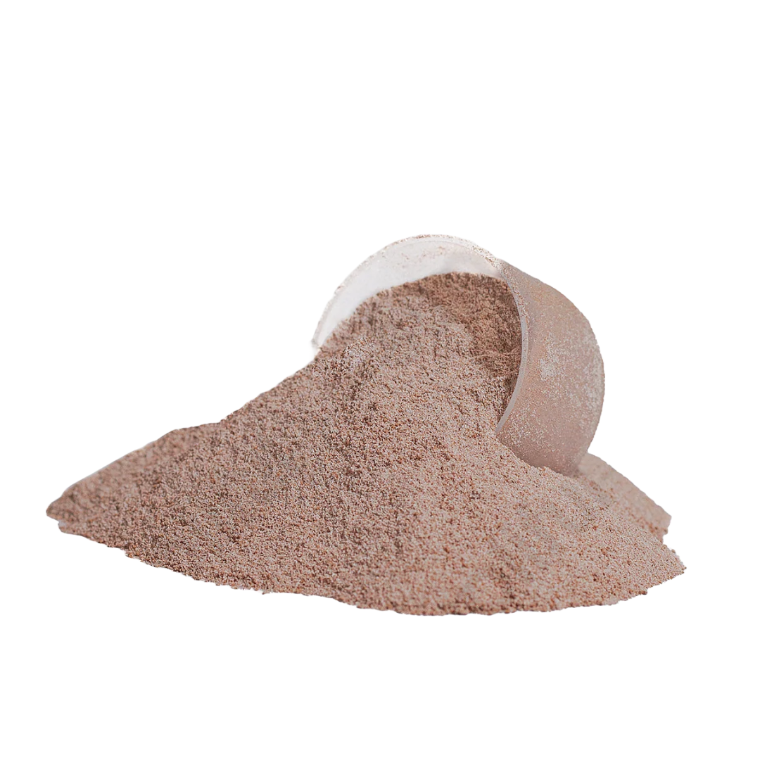 Advanced 100% Chocolate Protein for Muscle Recovery & Strength