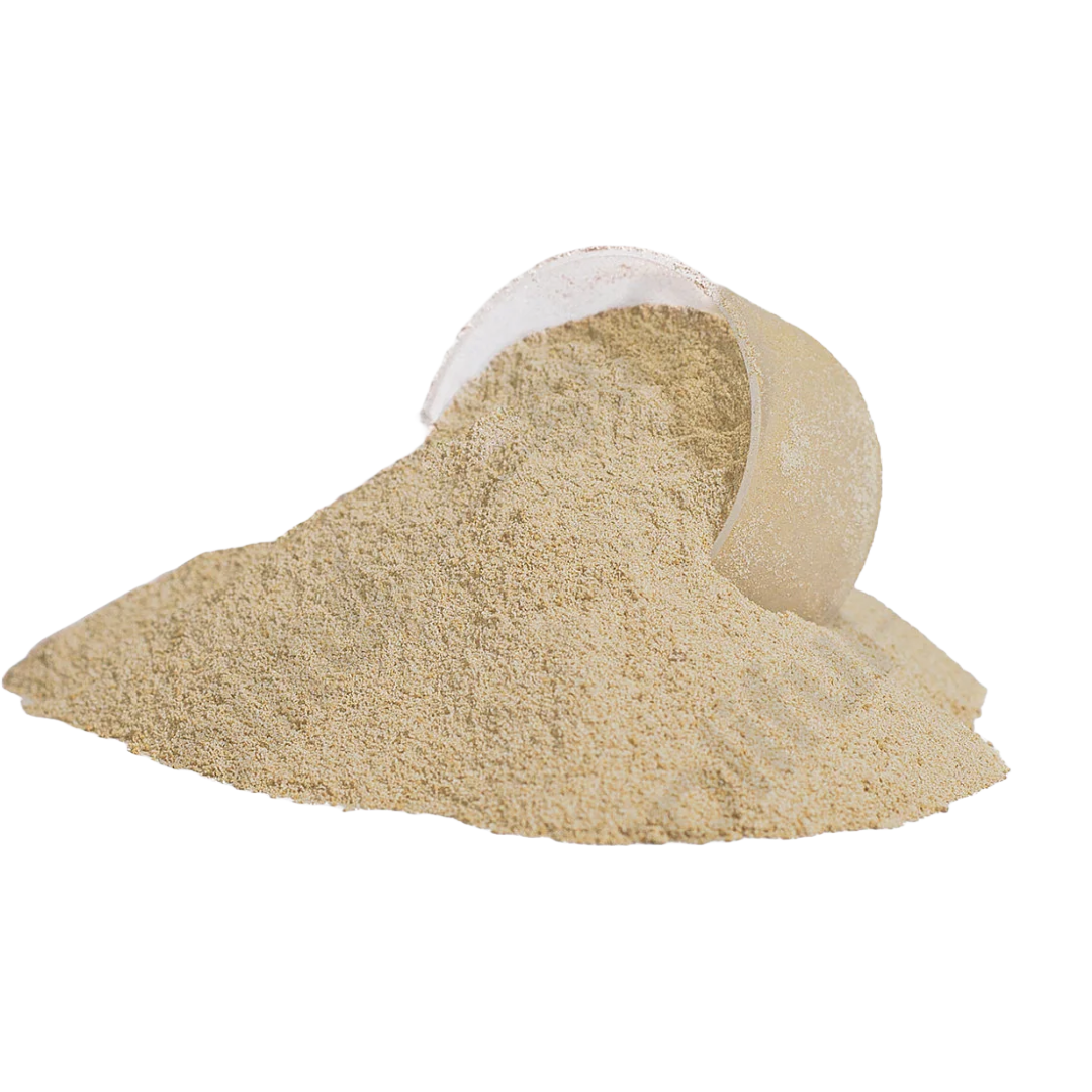 Advanced 100% Vanilla Protein for Muscle Recovery & Strength